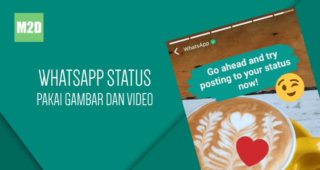 Cara Membuat Status WhatsApp dengan Foto dan Video