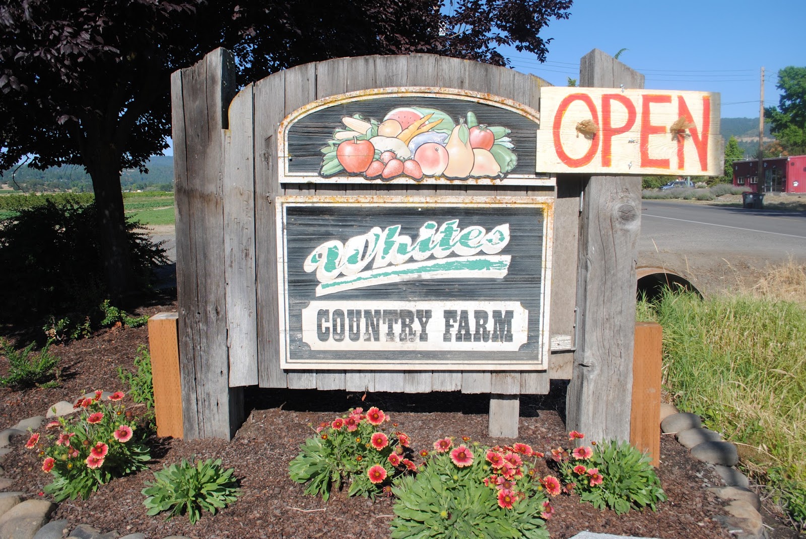 What to do in Southern Oregon Summer Lovin' Peaches at Whites Country Farm