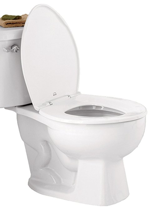 Thisoldtoilet Replacement Toilet Seat There is biggie toilet seat