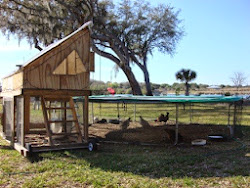 chicken trampoline coop diy coops into tractor recycled run repurposed yard alternative turn plans wonderful reuse frame build wonderfuldiy turned