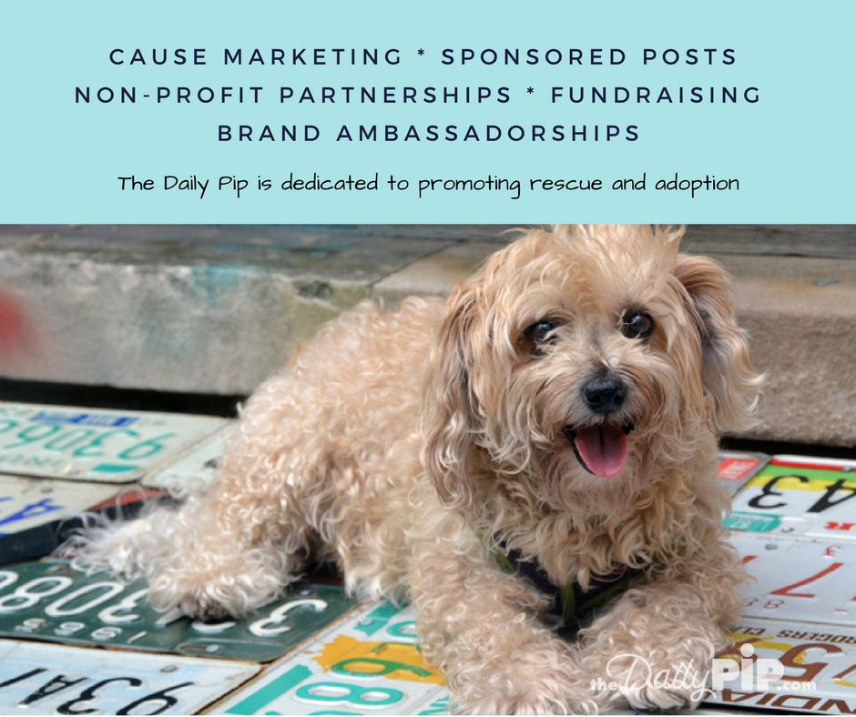 The Daily Pip promotes rescue and adoption The Daily Pip chooses to work with pro-rescue, earth-friendly compassionate brands