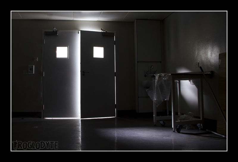 Lost and Found Animal Testing/Neuroscience Labs, Essex, 2011