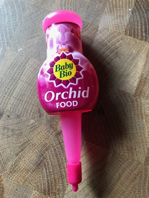Product Review Baby Bio Orchid Care
