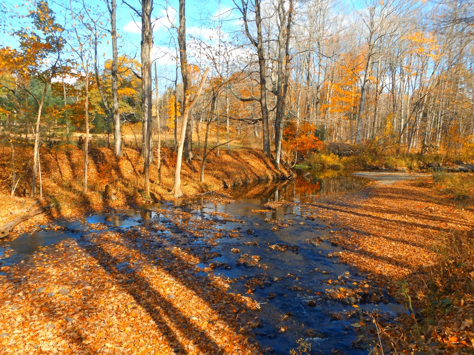 Walking Man 24 7 Lunchtime Stroll at Schodack Town Park