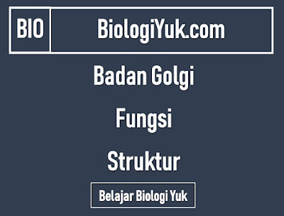 Badan Golgi: Fungsi dan Struktur Lengkap Badan Golgi: Fungsi dan Struktur Lengkap