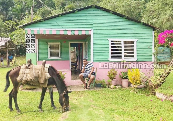 Aseguran 18.9% de los dominicanos vive en el campo Aseguran 18.9% de los dominicanos vive en el campo