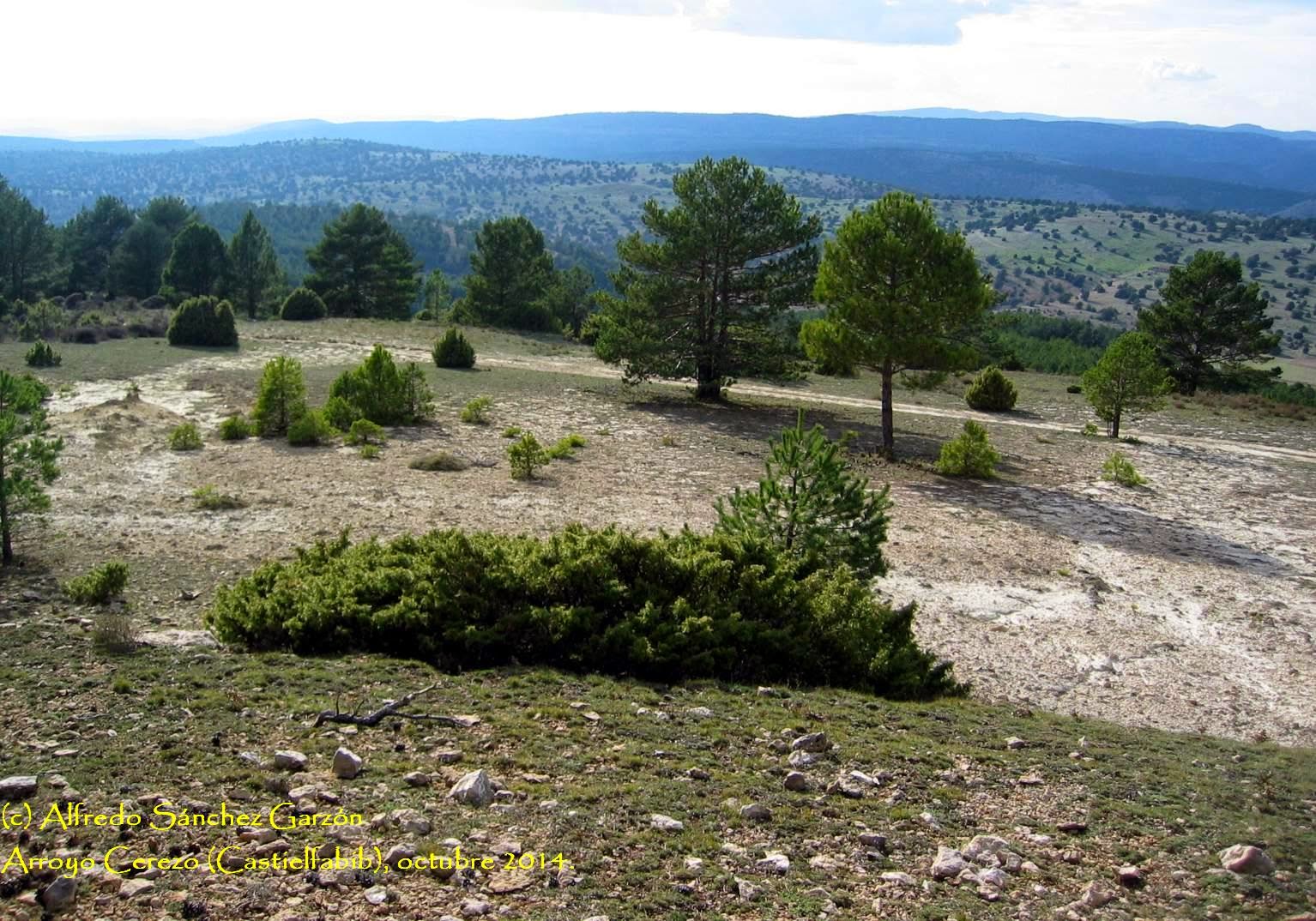 cruz-tres-reinos-paisaje- cruz-tres-reinos-paisaje-