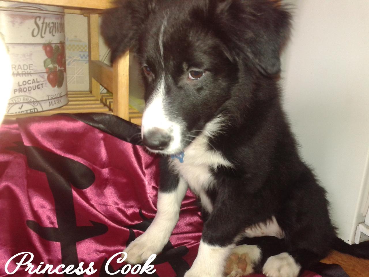 Princess Cook Délices de flocons d