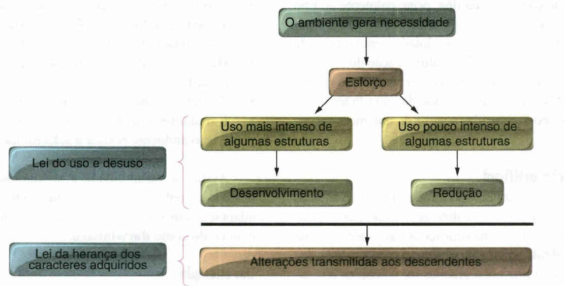 Lei da herança dos caracteres adquiridos Lei da herança dos caracteres adquiridos
