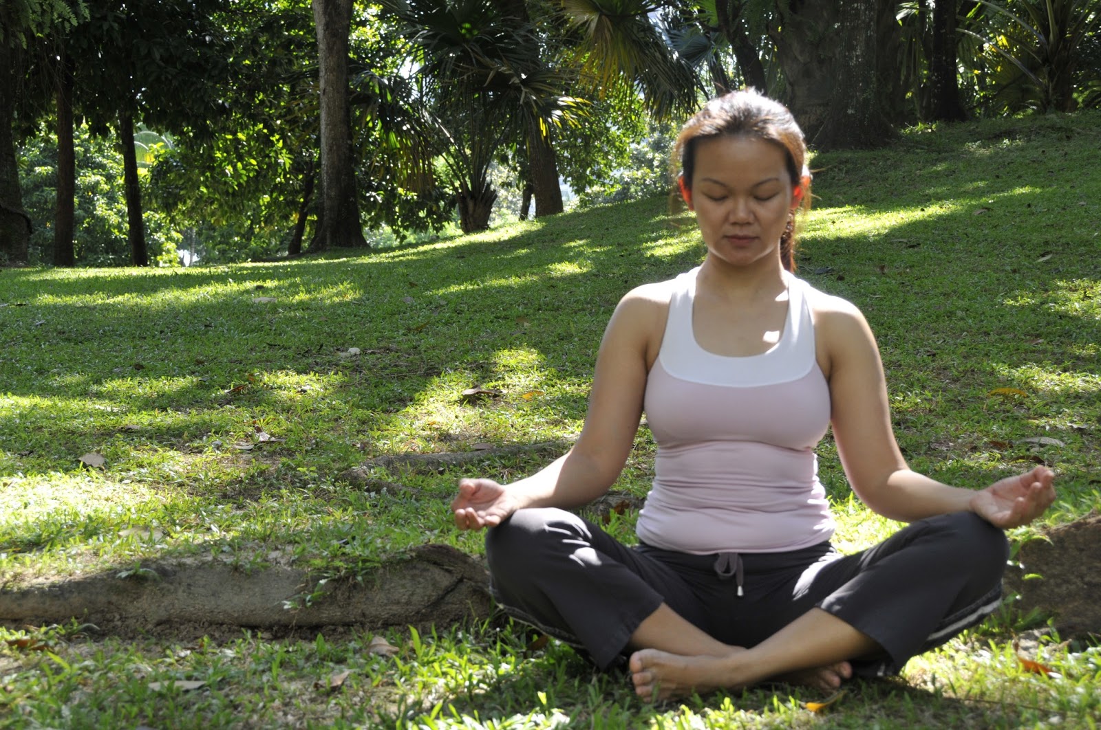 Basic Breathing Kapalabhati Walking On Sunshine Surya Yoga