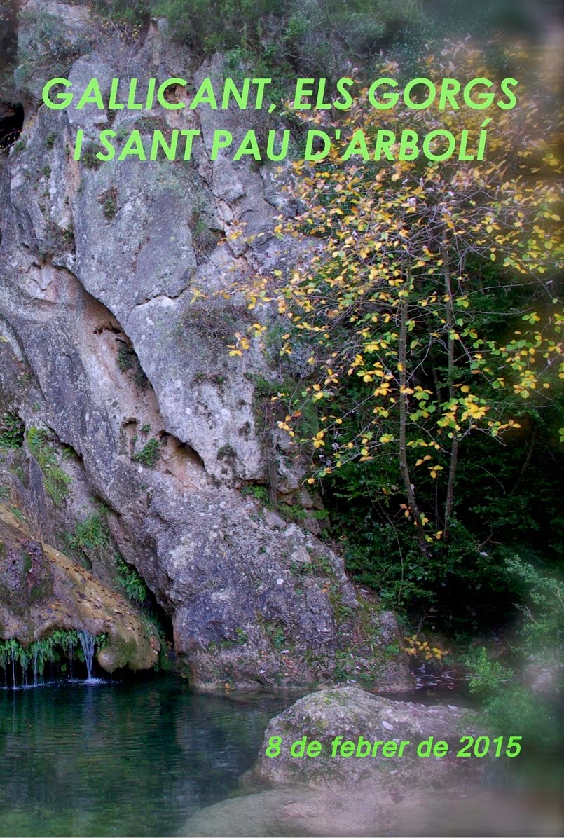 Arbolí - Gallicant - els Gorgs Arbolí - Gallicant - els Gorgs