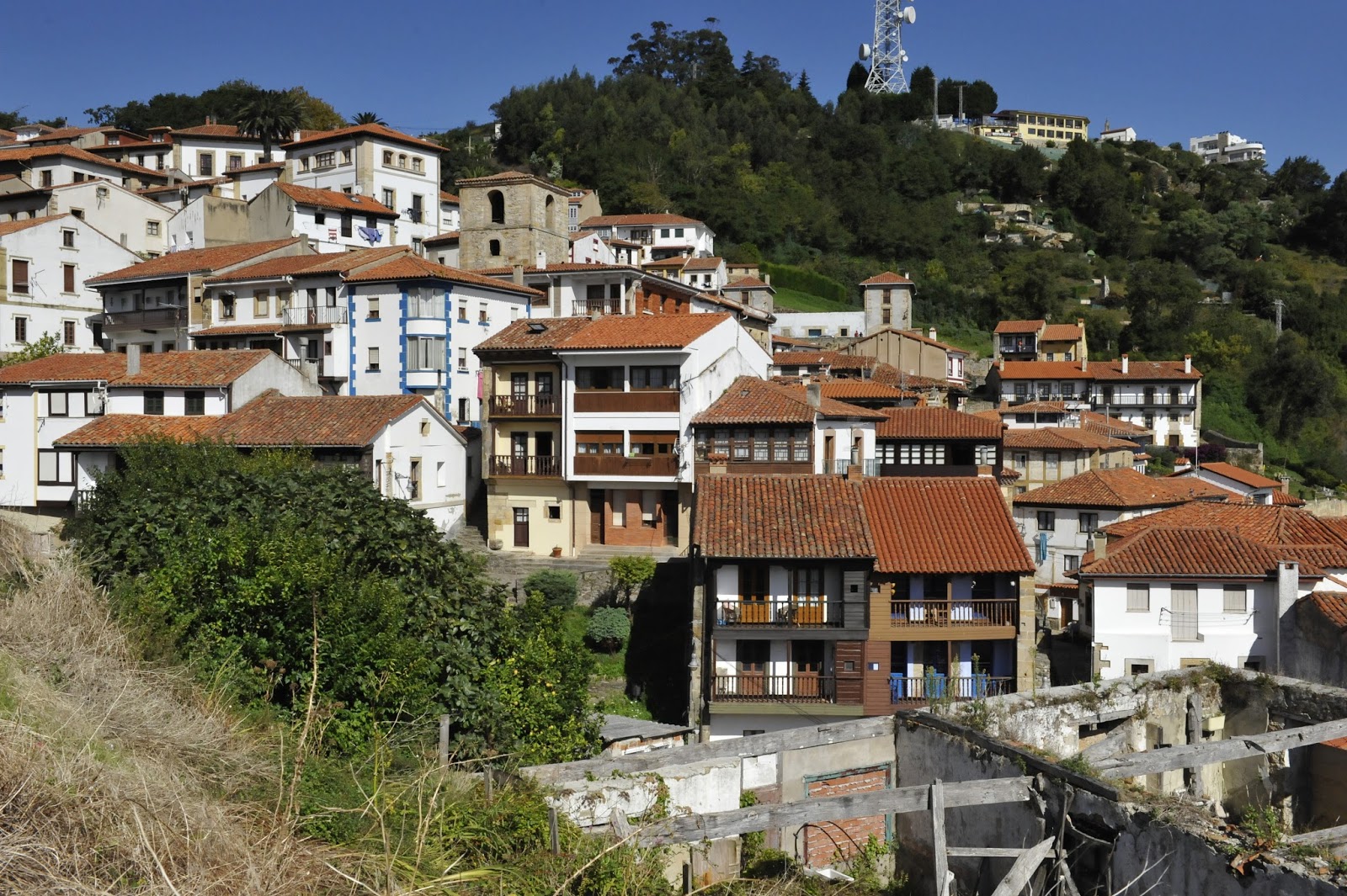 Cangas de Onís, MUJA, ¿Lastres? El mirlo de papel