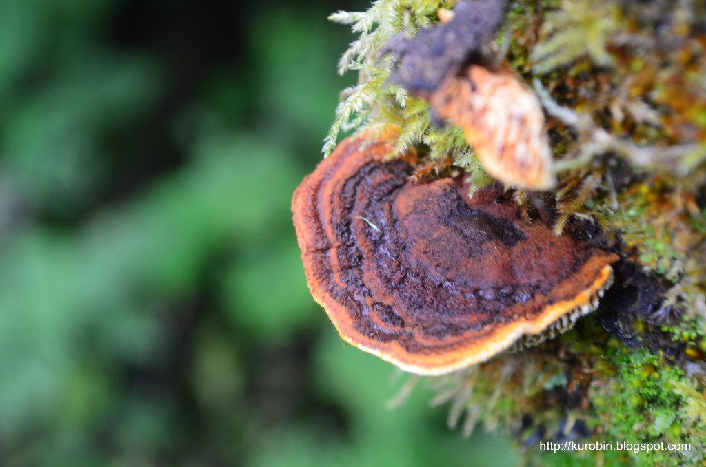 Donde el viento me llevó Montaña Peña Blanca