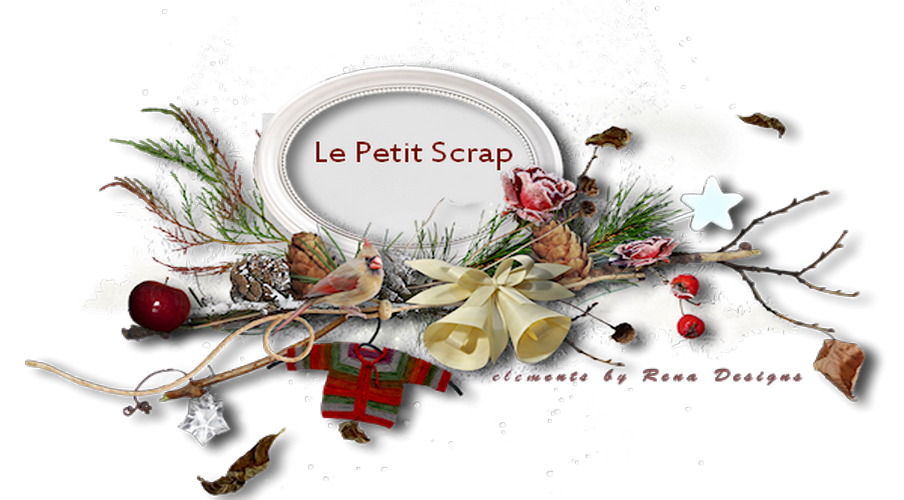 Le petit scrap