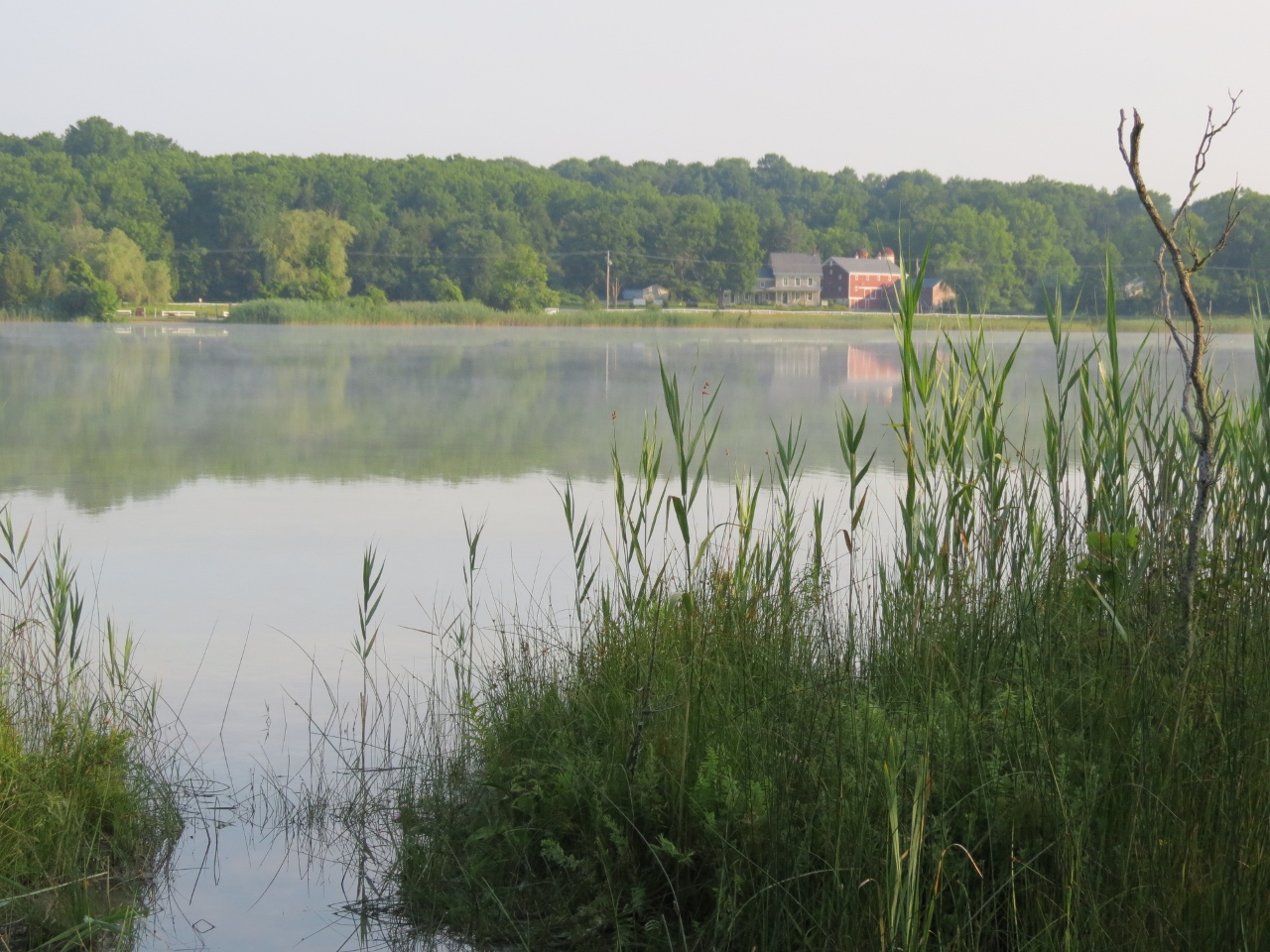 Gone Hikin' White Lake Natural Resource Area, NJ