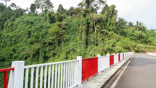 The best bridge in the country over the jungle