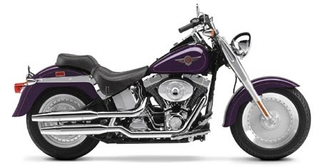 Harley-Davidson Softail Workshop Service Manual 2002 with Electrical