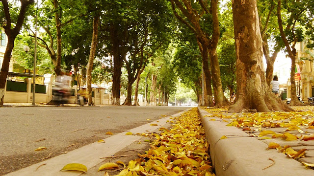 10 specialties of Autumn in Hanoi capital 7 10 specialties of Autumn in Hanoi capital 7