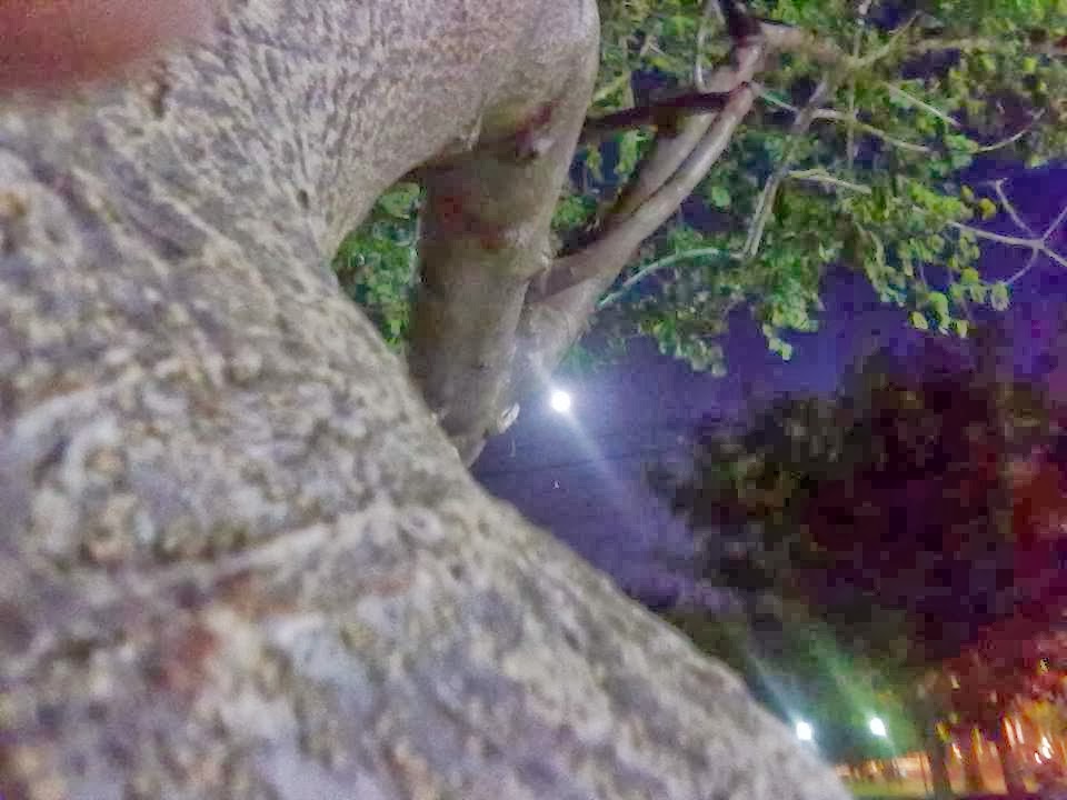 La luna tomada en la Plaza de Pappo - Ciudad de Buenos Aires - Argentina