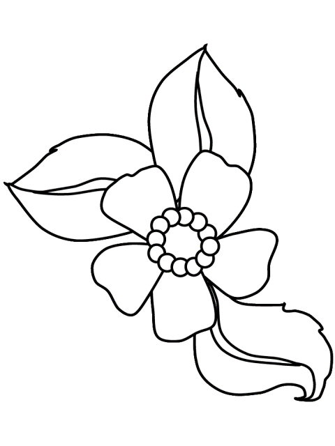 Pic Of Flowers To Draw Pic Of Flowers To Draw