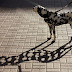 The Markets and the Long Shadow of Politics