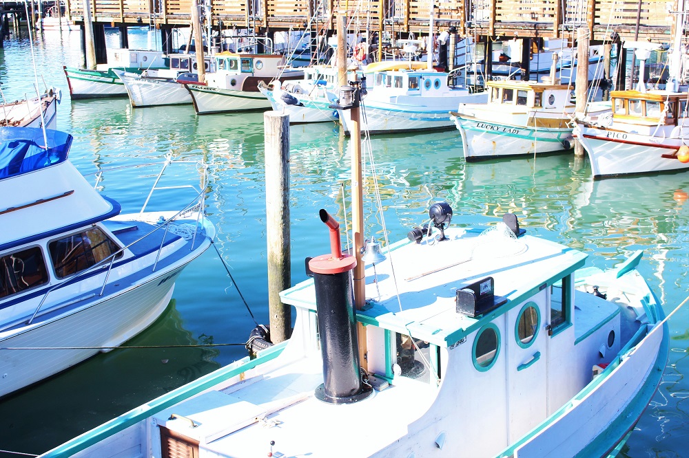 Boats, San Francisco - California travel blog