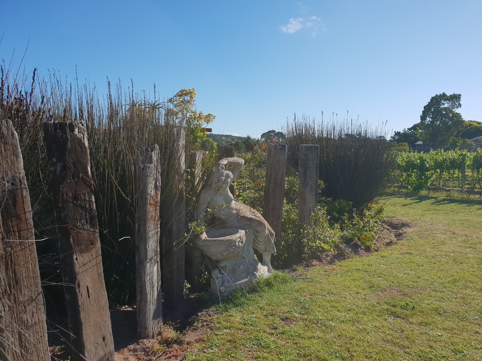 theescombe wine estate