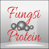 Fungsi protein