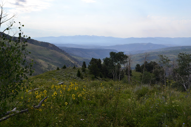 out on the ridge