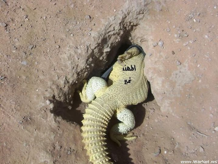 Tak Bisa Di Tangkis Kita Semakin Dekat Dengan Kiamat Setelah