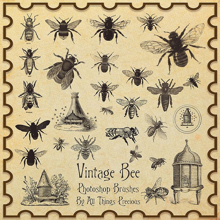 vintage bee