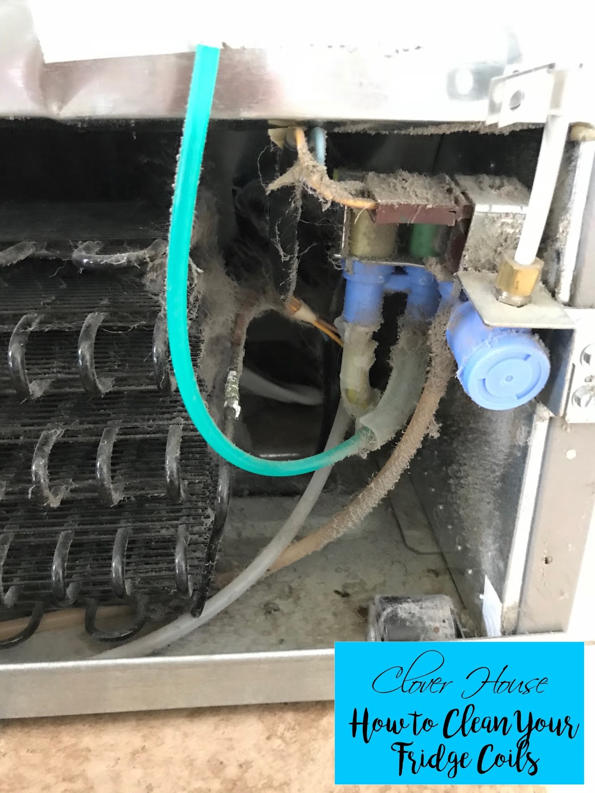 Clover House How to Clean Your Fridge Coils