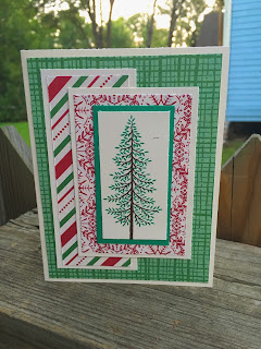 Christmas Card using Thoughtful Branches Stamp Set by Spread Joy Stamping thoughtful branches christmas card