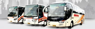 Harga Tiket Bus Gunung Mulia 2016