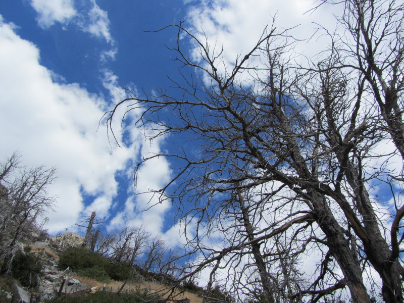 Dan's Hiking Blog Windy Gap Trail Work with the Trailbuilders Sept