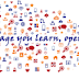 Classification of dialect learning procedures