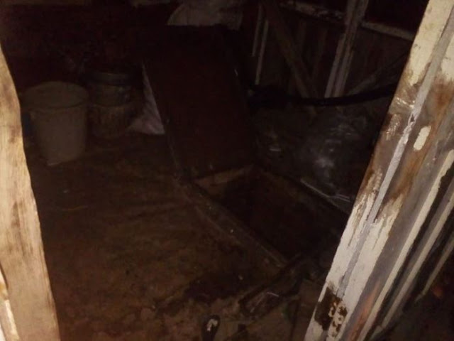 В Башкирии в погребе обнаружили три трупа В Башкирии в погребе обнаружили три трупа
