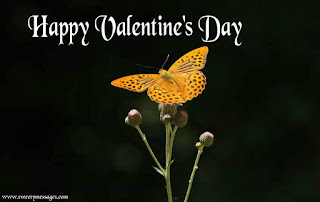 happy valentine day images download