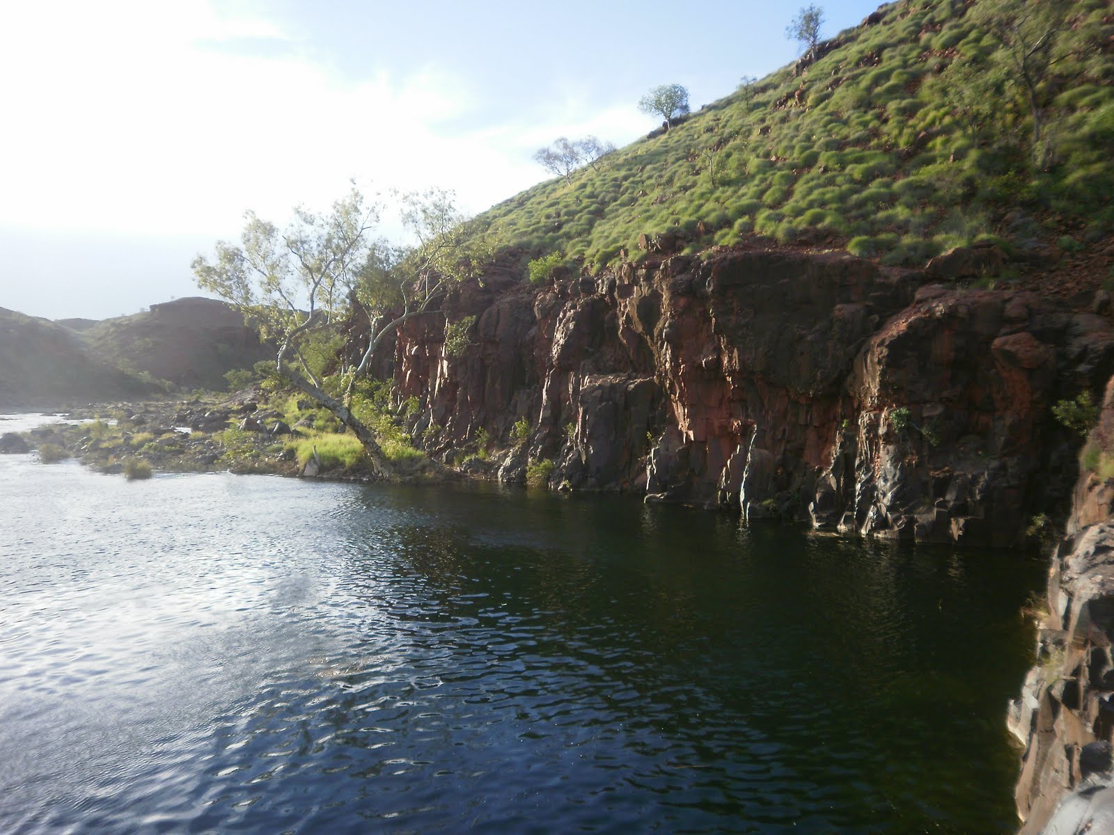 Scubavet Python Pool and Red Dog