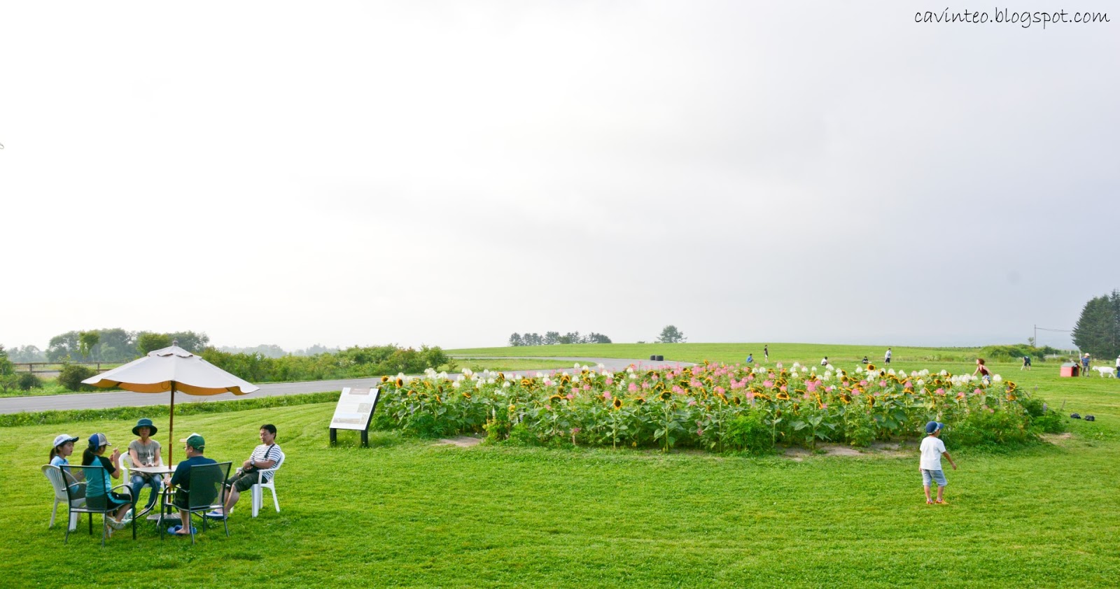 Entree Kibbles Lake Hill Farm More Than Just The Gelato Ice Cream In Summer Lake Toya Hokkaido Japan Lakehillfarm