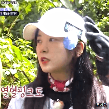 171117 정글의법칙 에이핑크 초롱이.gif | 인스티즈