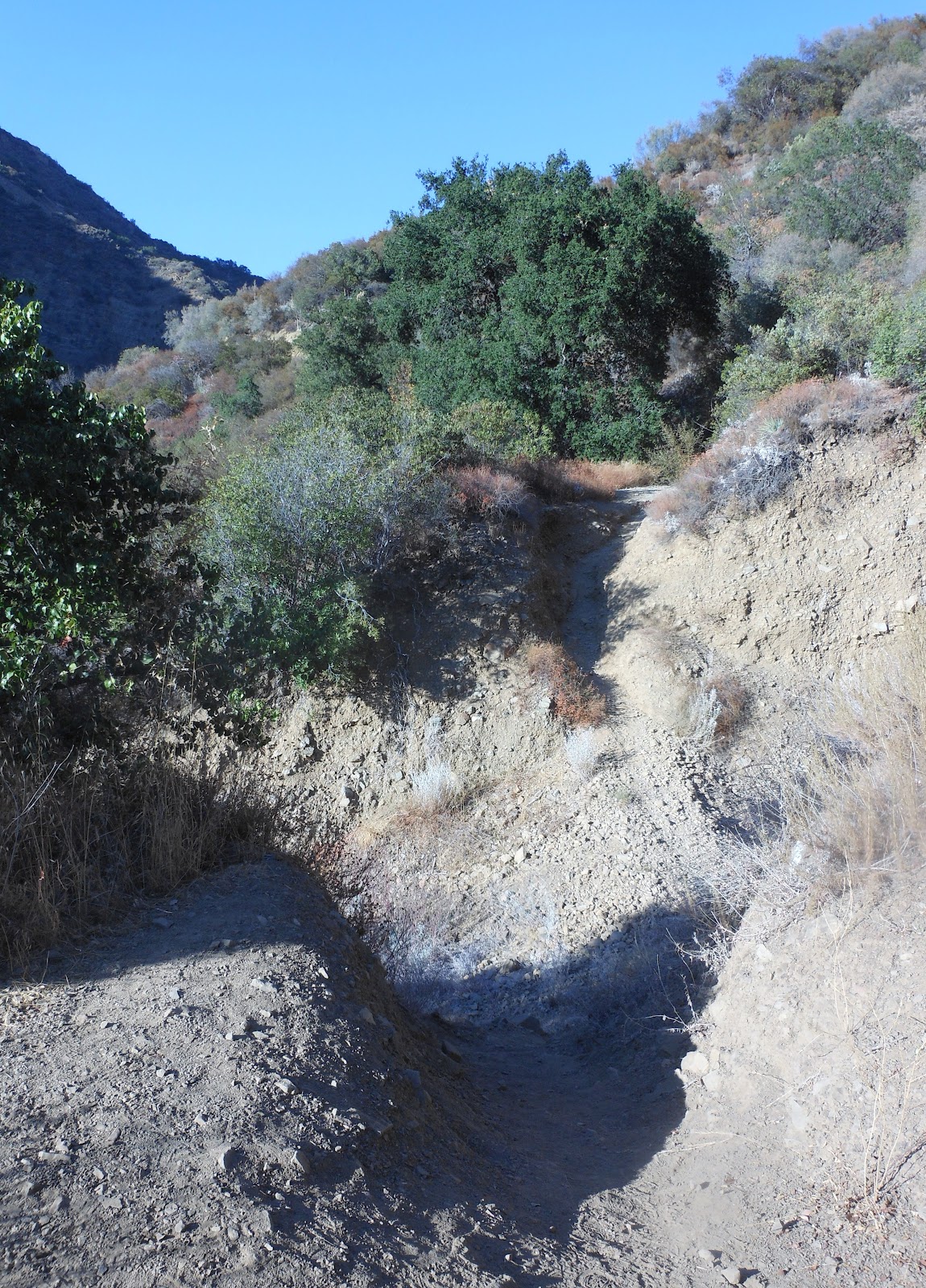 1000 Hikes in 1000 Days Days 648 & 649 Santa Paula Punch Bowls Last