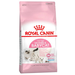 Harga makanan kucing merk Royal Canin harga pakan kucing
