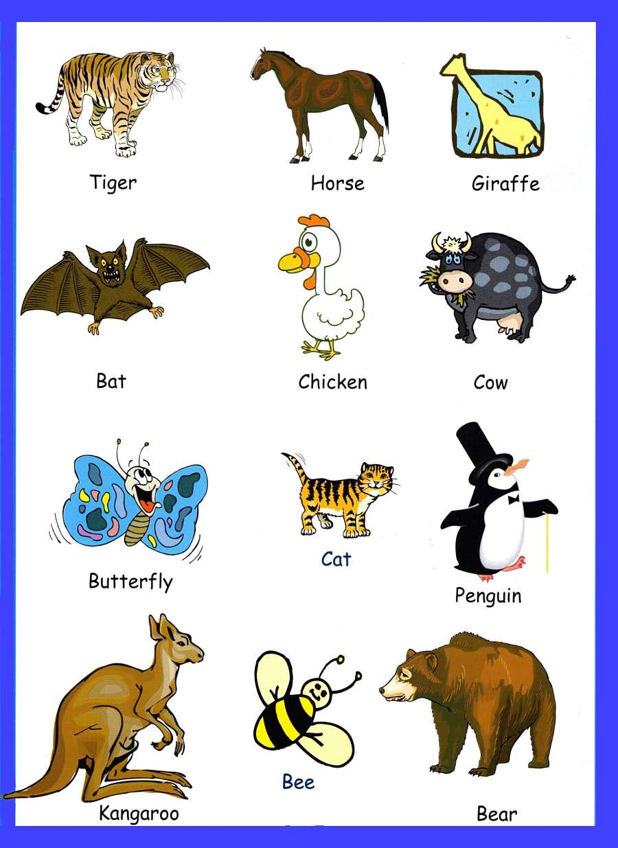 Имя animals. Животные на англ. Животные на английском языке для детей. Животные на английском картинки. Вокабуляр животные английский.