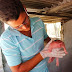 BAHIA / COITÉ: Porco nasce com dois sexos do Distrito de Salgadália