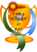 M.A.G. Challenge Winner