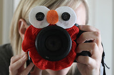 Camera Lens Elmo