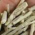 The herbal super drug is as close to the fountain of youth as you can get