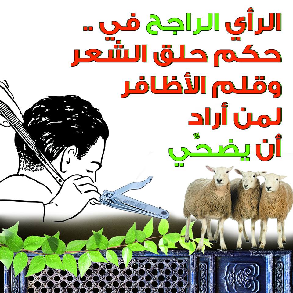 حضارة صارم الغازي حلق الشعر للمضحي Findlocal Drivewayrepair Com