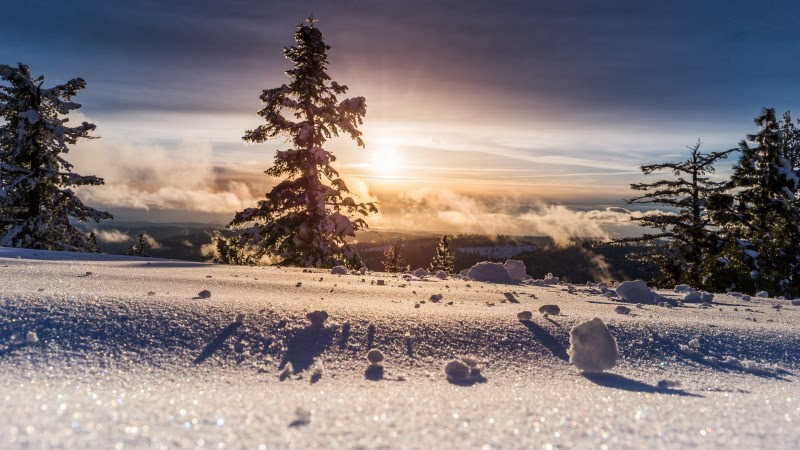 Perfect Winter View
